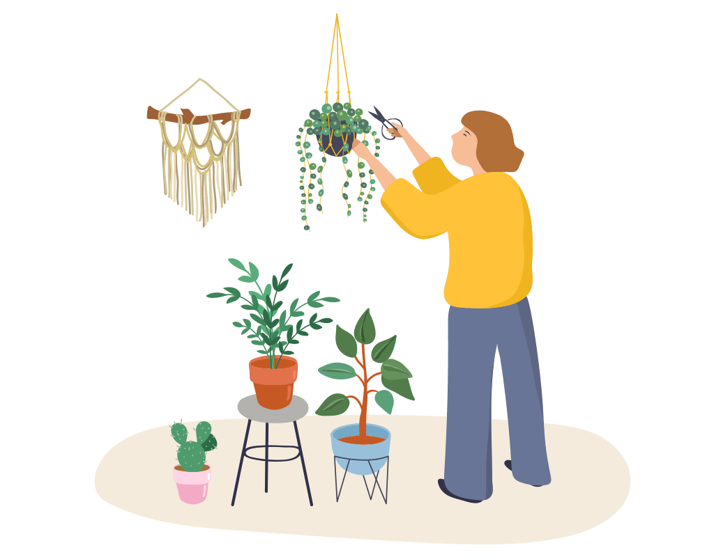 Woman cutting houseplants - illustration